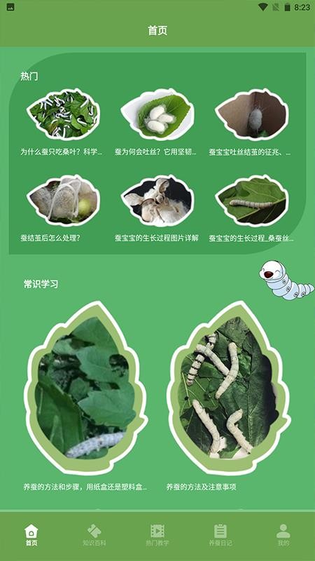 蚕宝宝 截图3