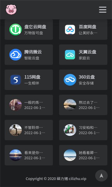 bt磁力猪搜索引擎 截图1