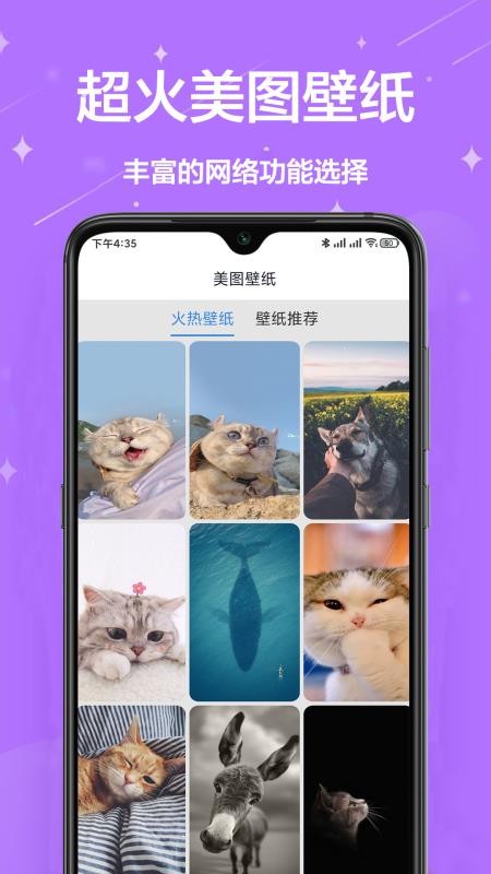 网络工具箱app v1.0.0 截图3