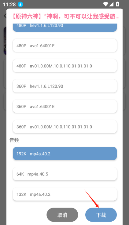 BVD下载器 截图2