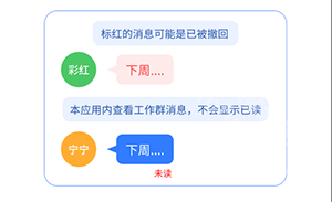 防撤回消息黑盒软件 截图2