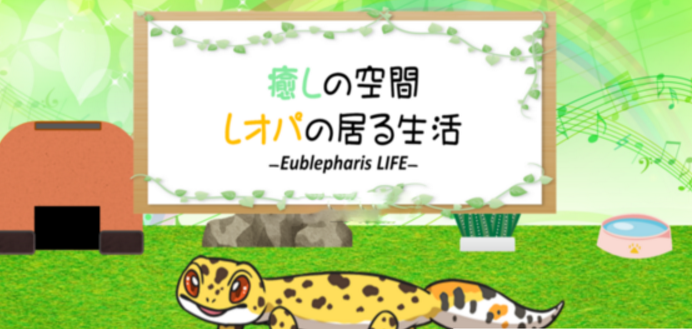 守宫的治愈小屋游戏 截图1