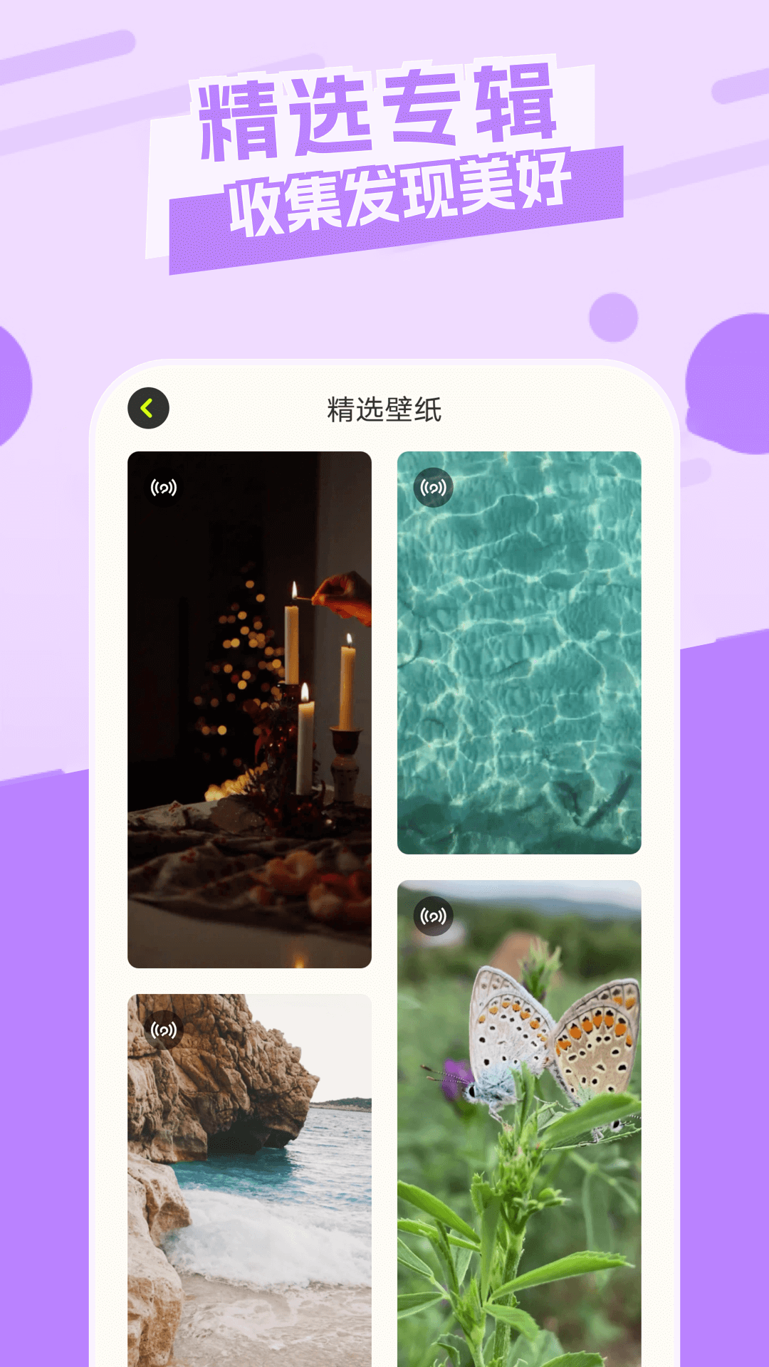 主题库2025 截图1