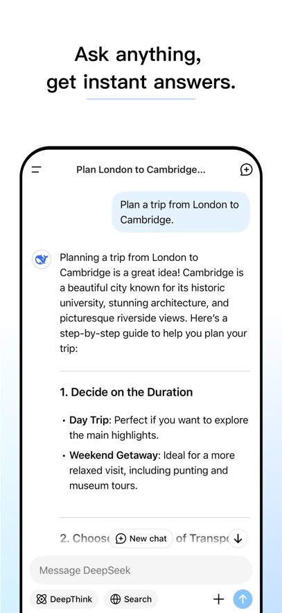 DeepSeek-AI 智能对话助手 截图2