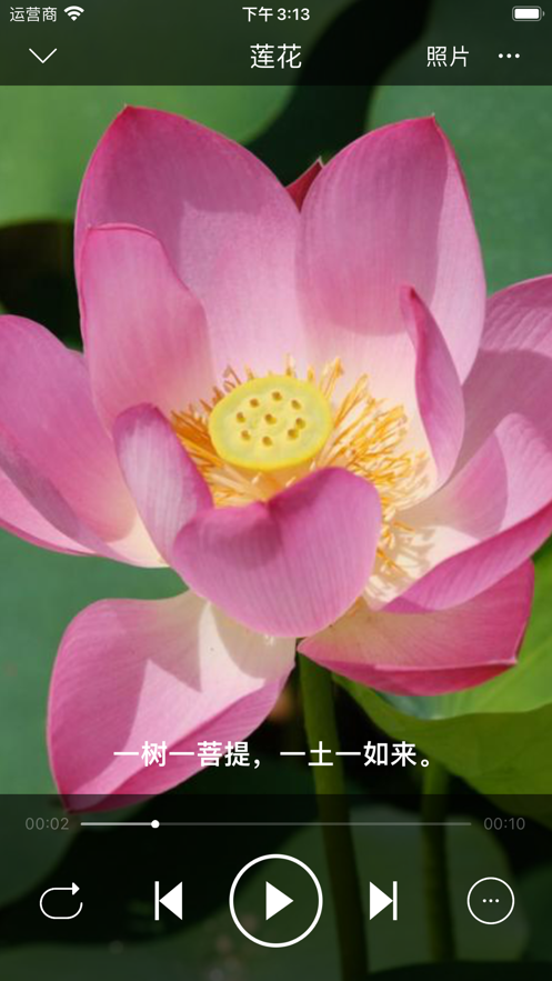 LoveMusic2025 截图1