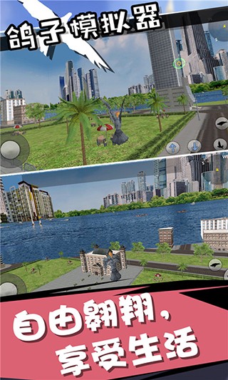 鸽子模拟器最新版 截图4