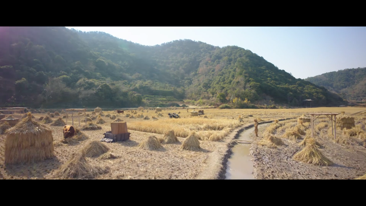 麒麟影视TV 截图4