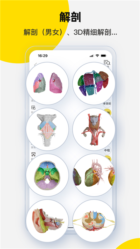 3dbody解剖图手机旧版 截图2