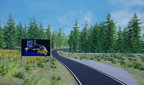 这就是拉力 截图1