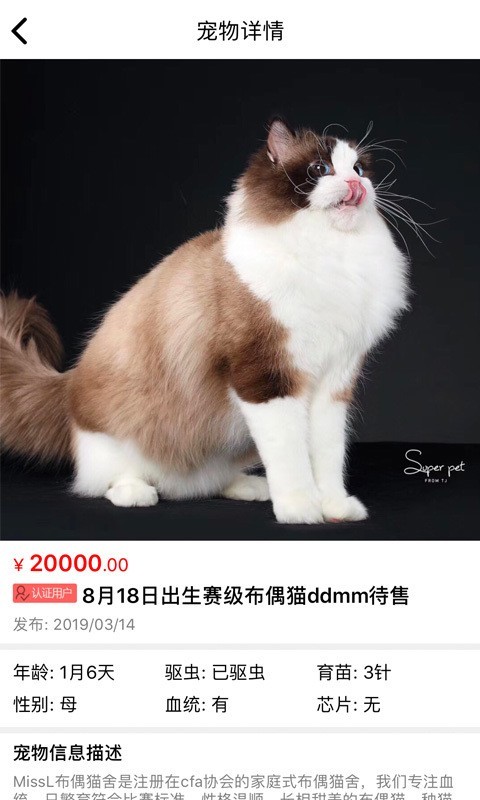 猫行狗市 截图4