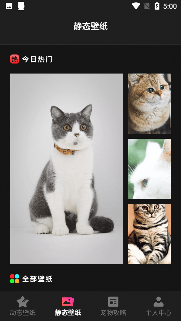 猫咪壁纸app v1.1 截图2