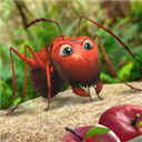 蚂蚁行军团最新版  v1.0.5