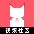 猫咪app  v1.3.6