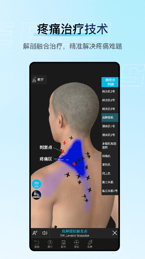 解剖大师最新版 截图3