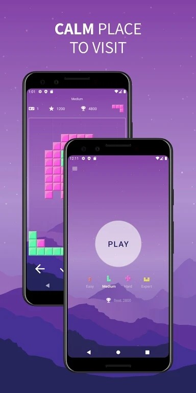 放置砖块Brick Game 截图3