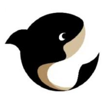 黑鲸慧服软件 v1.1.0.5