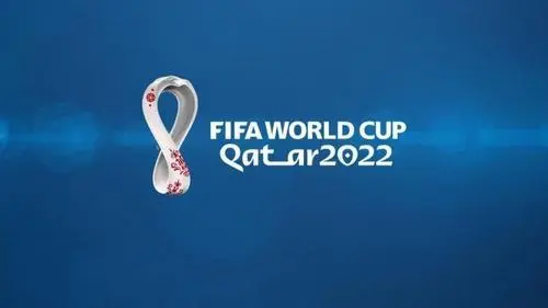 2022世界杯预测软件
