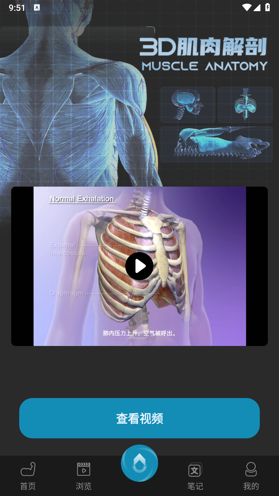 3D肌肉解剖免费版 截图1