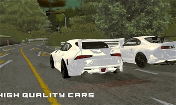 纯粹赛车 截图3