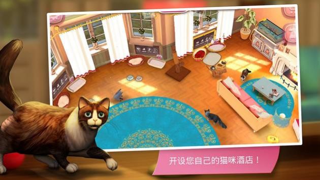 猫咪旅店 截图3