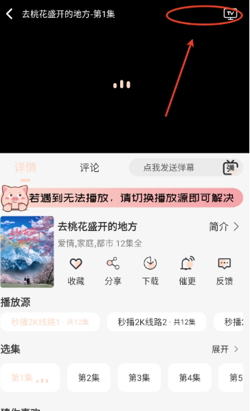 小猪4K追剧app官方
