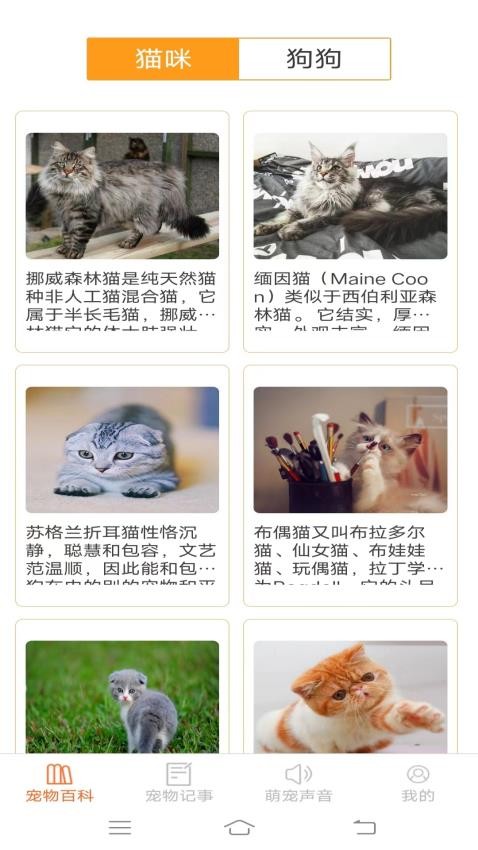 萌宠小能手最新版 截图1