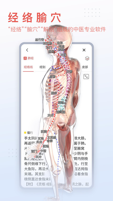 3d人体模型app