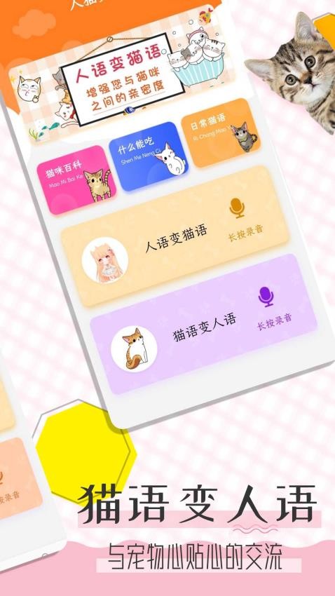 猫语翻译宝2025 截图3