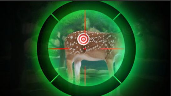 野外猎人狙击手游戏 截图2