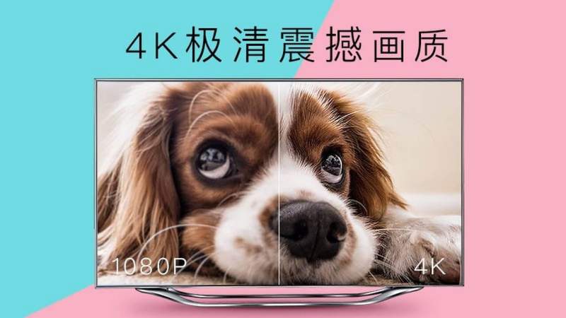 CIBN 4K花园 截图1