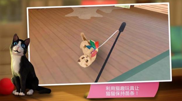 猫咪旅店 截图2