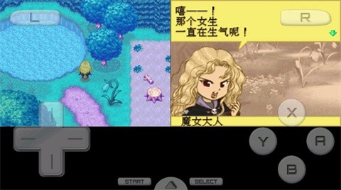 牧场物语精灵驿站 截图3