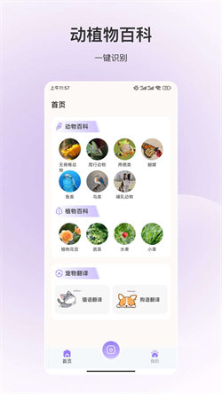 动物识别扫一扫  截图2