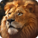 野兽领主:新世界官网手机版