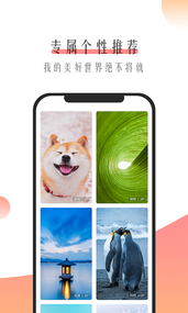 米柚壁纸app 截图4