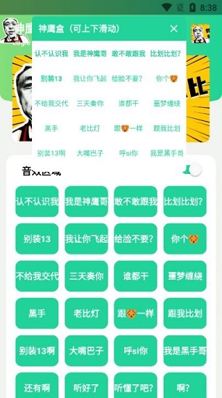 神鹰盒语音包 截图3