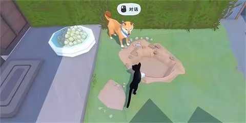小猫咪大城市最新版2026 截图3