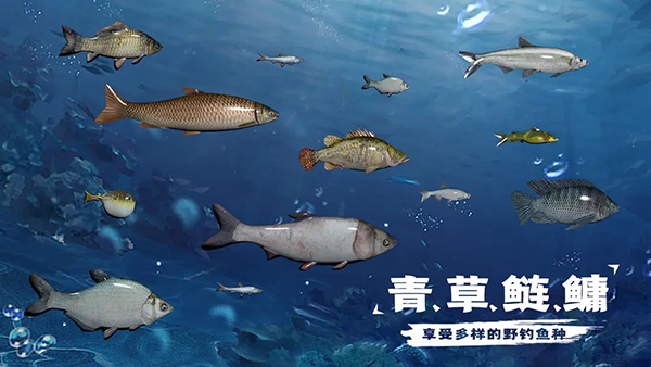 天天钓鱼无广告2025 截图3
