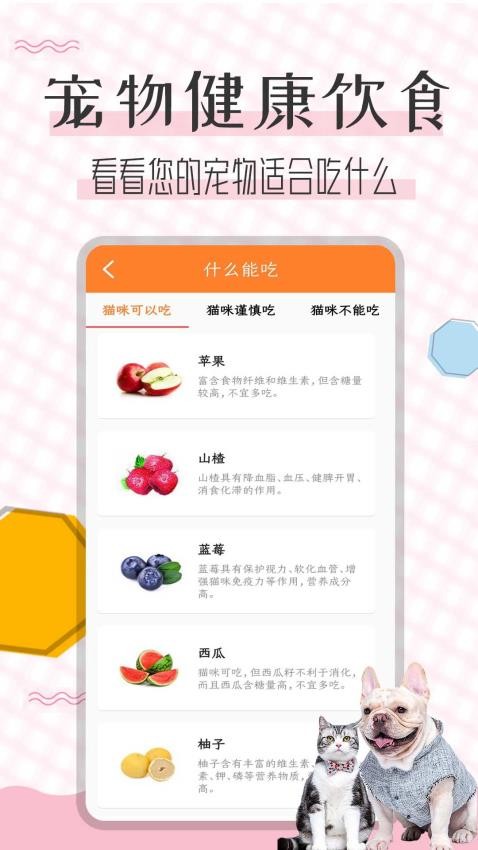 猫语翻译宝2025 截图4