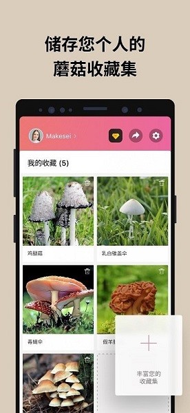 蘑菇识别扫一扫最新版 截图1