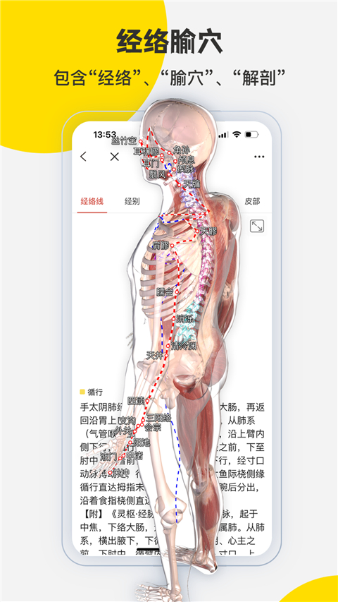 3dbody解剖图手机旧版 截图5