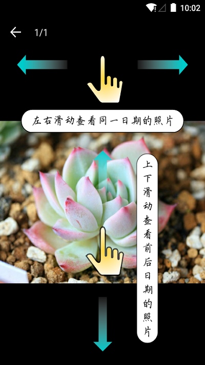 多肉成长记APP 截图3