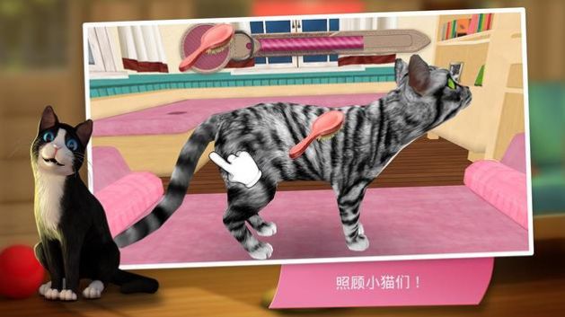 猫咪旅店 截图1