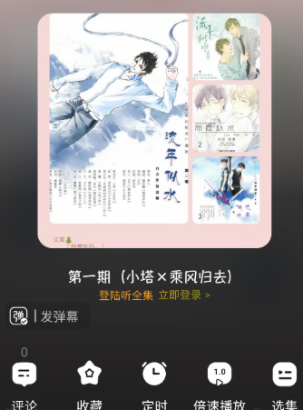 听番FM 截图11