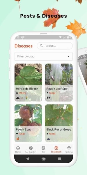 findplant手机版 1.2.0