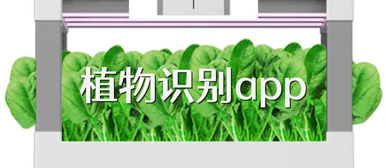 植物识别app