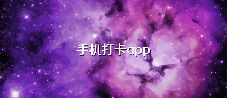 手机打卡app