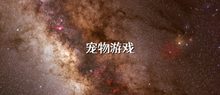 宠物游戏