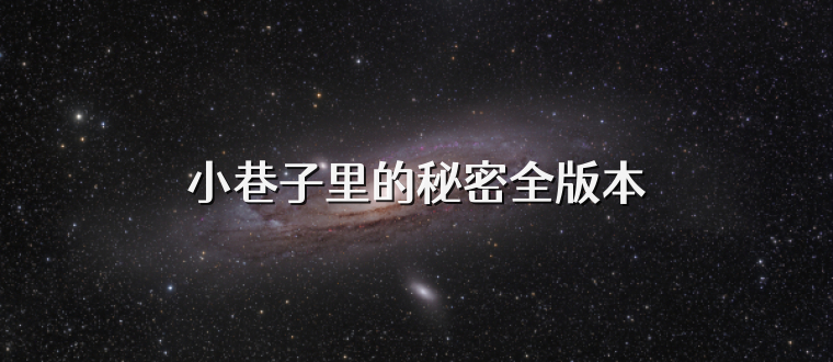 小巷子里的秘密全版本