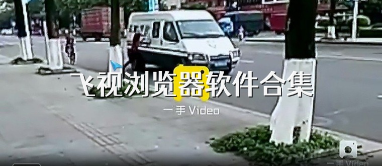 飞视浏览器软件合集